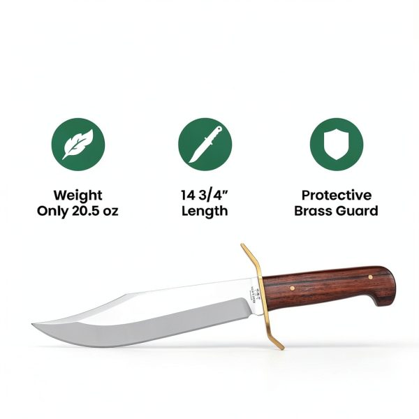Bear Son Bowie Knife Cocobolo Wood Stainless Steel Outdoor-3